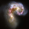 Antennae galaxy