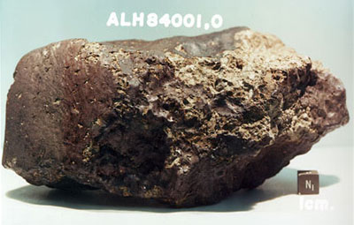 ALH84001 Mars Meteoriet