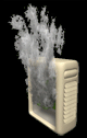 Smoking Server in the USA