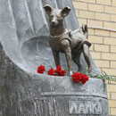 Monument Laika