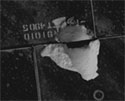 Hitteschild Endeavour