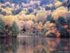 Japanse Herfst